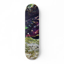 Crab Ocean Tide Pools La Jolla Cove Skate Board Decks