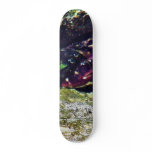 Crab Ocean Tide Pools La Jolla Cove skateboards