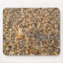 Crab on the beach mousepads