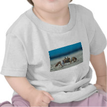 Crab T Shirts