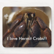 crabby, I love Hermit Crabs!! Mouse Pads