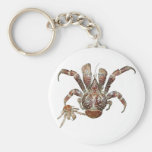 Crabe de cocotiers sauvage des Caraïbe Porte-clefs