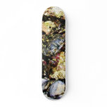 Crabs Barnicles Ocean Tidepools Sea Skateboard