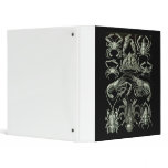 Crabs & Lobsters 3 Ring Binder