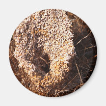 crack earth fridge magnet