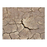 Cracked And Dried Mud At The Beach Post Card
