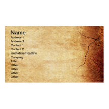 CRACKED EARTH CLAY TEXTURES ABSTRACT RANDOM TEMPLA BUSINESS CARDS