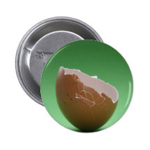 Cracked Egg Shell Buttons