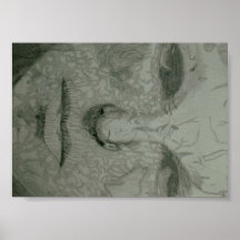 Cracked Face Poster