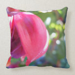 Cracked Fuschia pillows