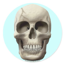 Cracked Skull Round Stickers