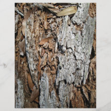Cracked tree trunk flyers