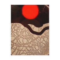 Crackle Sunrise ~ postcard