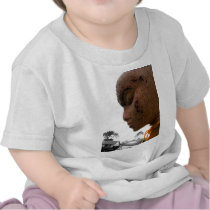 Crackled T Shirts