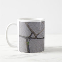 Cracks Coffee Mugs