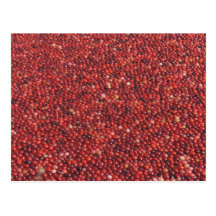 Cranberries Post Cards