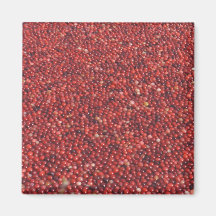 Cranberries Refrigerator Magnet
