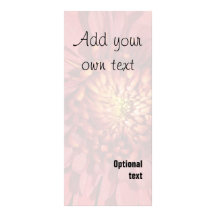 Cranberry Mum Background Full Colour Rack Card