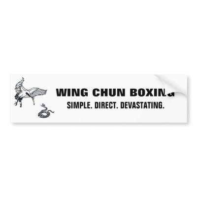 crane and snake, wc banner lrg bumper sticker by WingChunKungFu