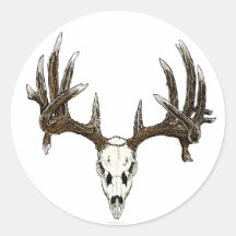 Crâne de mâle de Whitetail Adhésifs Ronds