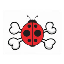 crâne et os croisés de coccinelle carte postale