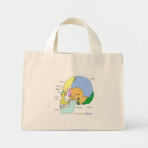 Crâne (latéral) sacs fourre-tout