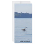 Crane rack cards