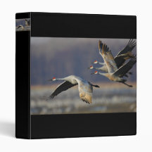 cranes 3 ring binders