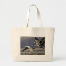 Cranes Bags