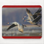 Cranes Mouse Mat