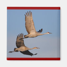 Cranes Refrigerator Magnets
