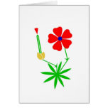 Cranesbill cards