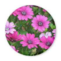 Cranesbill Geranium (Pink Flowers) Magnet