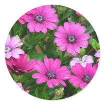 Cranesbill Geranium (Pink Flowers) Sticker