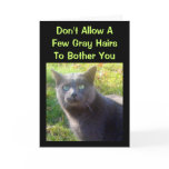Cranky Cat Humorous Birthday Card