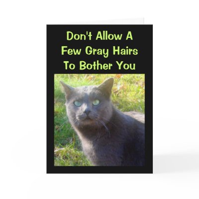 Cranky Cat Humourous Birthday Card by time2see
