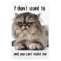 Cranky kitty flexible magnet, "I don't want to..."