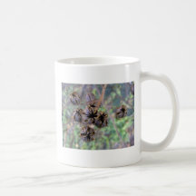 Crape Myrtle Seed Pods Mug