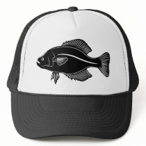Crappie Fish
