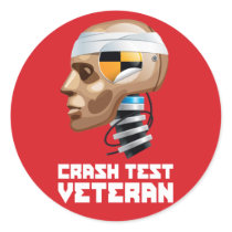 Crash Test Veteran Sticker