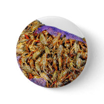 Crawfish Crawdads Pinback Buttons