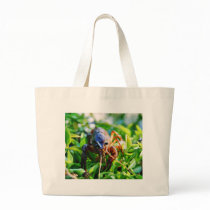Crawfish Crawdads Crayfish Canvas Bags