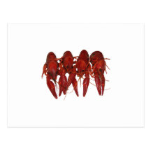 Crawfish Logo (untitled) Post Cards