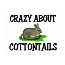 Crazy About Cottontails Post Card