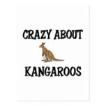 Crazy About Kangaroos Post Cards
