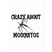 Crazy About Mosquitos Postcard