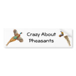 Crazy About Pheasants Bumper Sticker