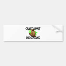 Crazy About Prosimians Bumper Sticker