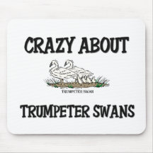 Crazy About Trumpeter Swans Mouse Pad