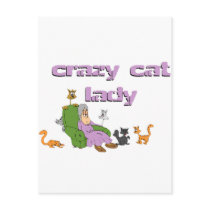 Crazy Cat Lady